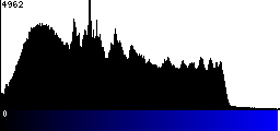 Blue Histogram