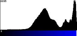 Blue Histogram