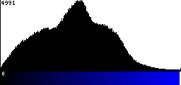 Blue Histogram