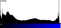 Blue Histogram