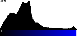 Blue Histogram