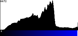Blue Histogram