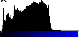Blue Histogram