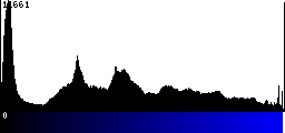 Blue Histogram