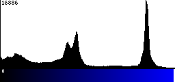 Blue Histogram
