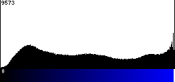 Blue Histogram