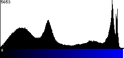 Blue Histogram