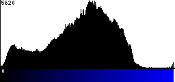 Blue Histogram