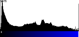Blue Histogram