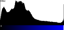 Blue Histogram