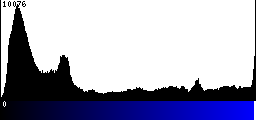 Blue Histogram