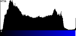 Blue Histogram