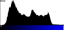 Blue Histogram