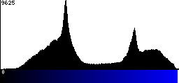 Blue Histogram