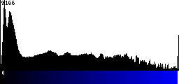 Blue Histogram