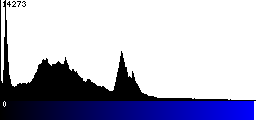 Blue Histogram
