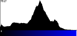 Blue Histogram