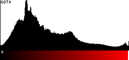 Red Histogram