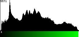 Green Histogram