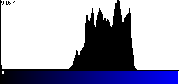 Blue Histogram
