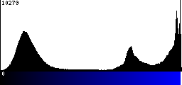 Blue Histogram