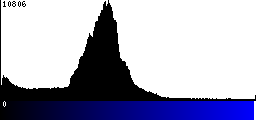 Blue Histogram