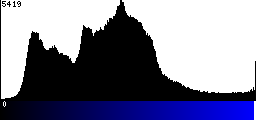 Blue Histogram