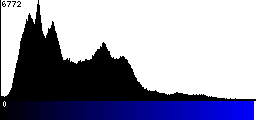 Blue Histogram