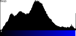 Blue Histogram