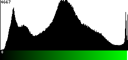 Green Histogram