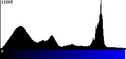 Blue Histogram