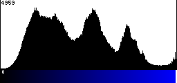 Blue Histogram