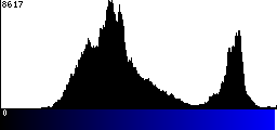 Blue Histogram