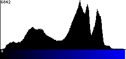 Blue Histogram