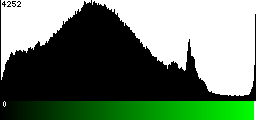 Green Histogram