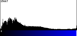 Blue Histogram