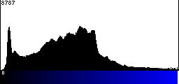 Blue Histogram