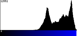 Blue Histogram