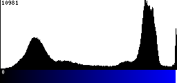 Blue Histogram