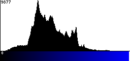 Blue Histogram