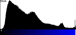 Blue Histogram