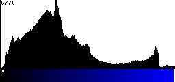 Blue Histogram