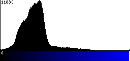 Blue Histogram