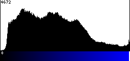 Blue Histogram