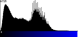 Blue Histogram
