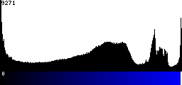 Blue Histogram