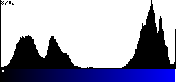 Blue Histogram