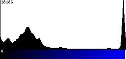Blue Histogram