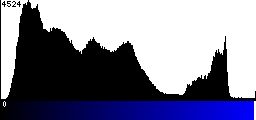 Blue Histogram