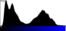 Blue Histogram